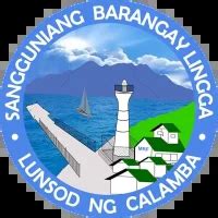 Brgy Lingga Government in Calamba City, Laguna .